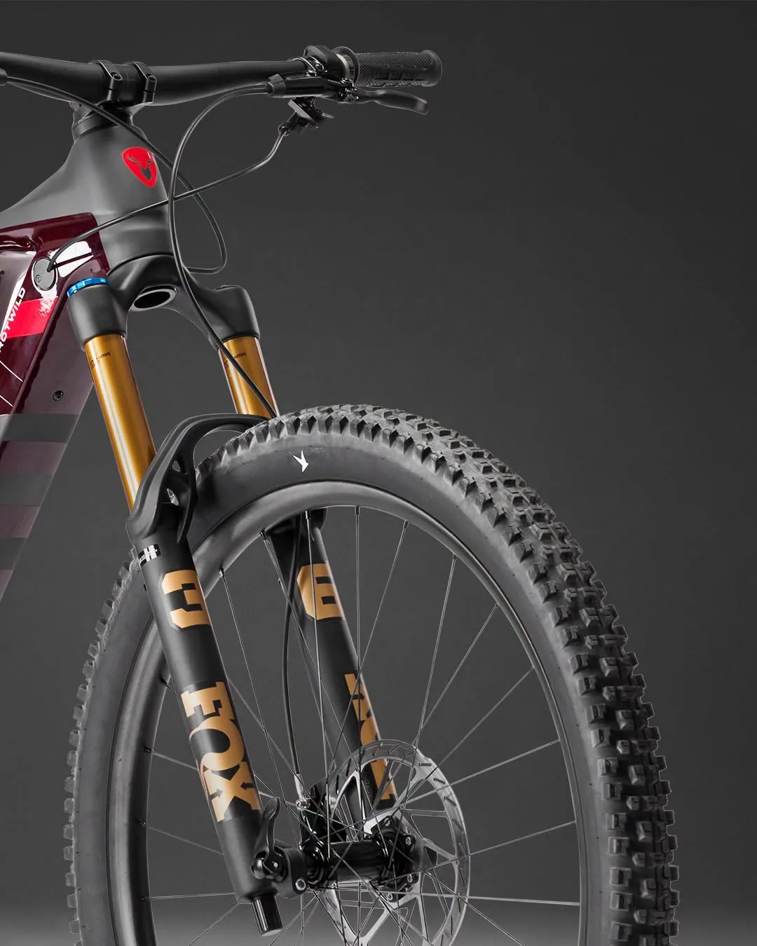 ROTWILD R.XX Front mit FOX 36 Factory Gabel